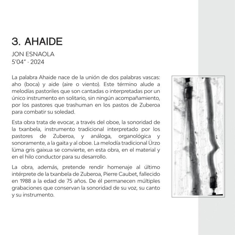 Jon Esnaola: Ahaide